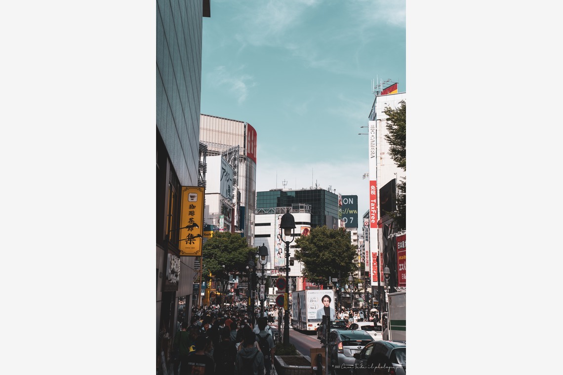 Casa TaKa il photographが撮影した写真のアルバム「建築物」