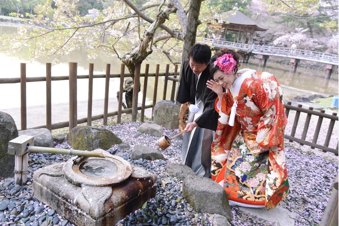 Photo of Pre Weddingphotoshoot in Nara park in the cherry blossom season for foreigners. taken by Kiki photo works