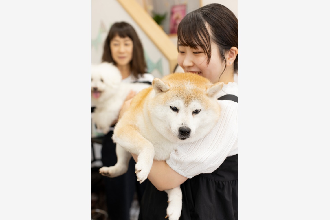 Yuichiが撮影した写真のアルバム「人物／ペット」