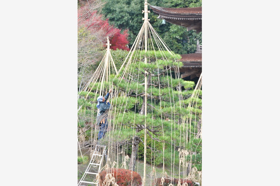 ライトステージ