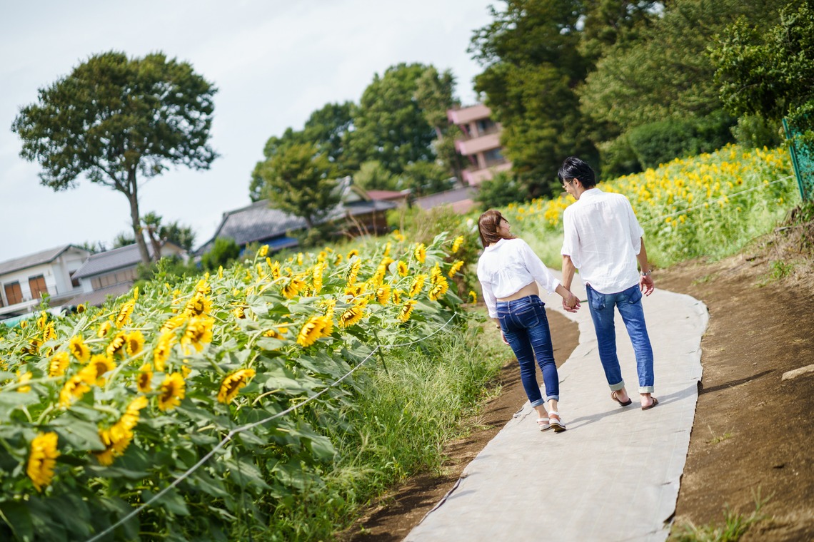 アトリエ　エピカ/清水　一哉が撮影したマタニティフォトのアルバム「ひまわり畑　マタニティ」