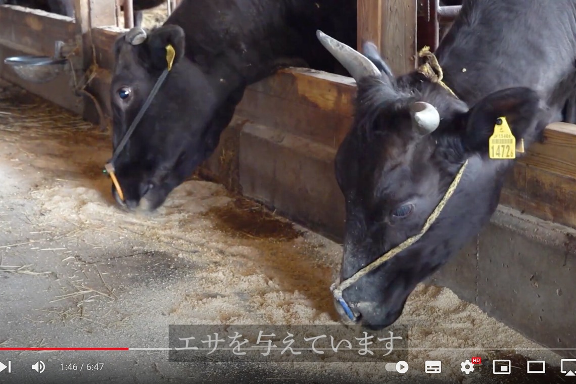 Castella Designが撮影した「YouTube動画」の写真