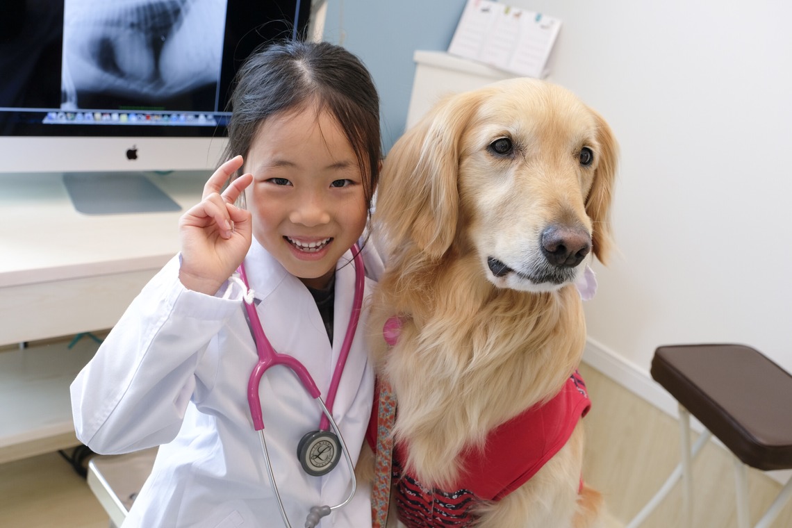 クマが撮影した写真のアルバム「ペット撮影」