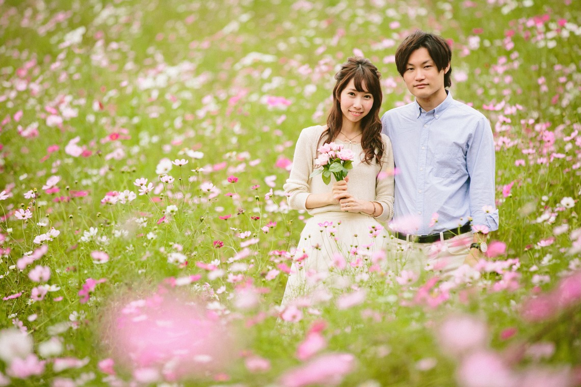 KISA photographyが撮影した写真のアルバム「コスモス畑撮影会」