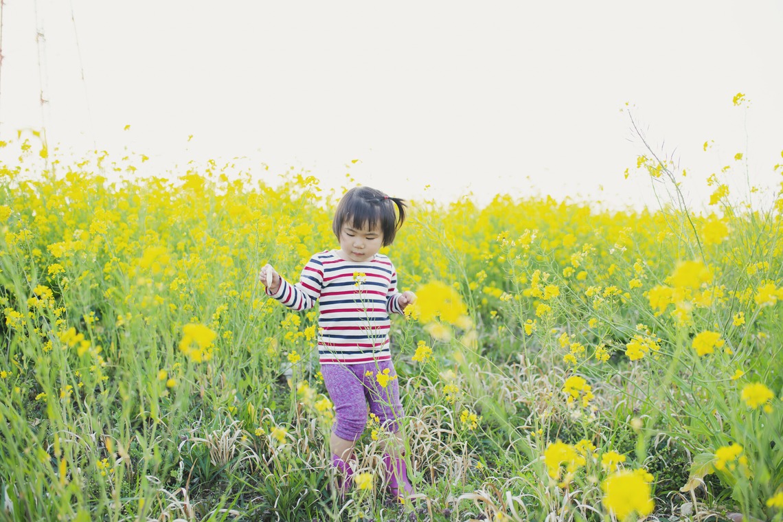 泉田真人が撮影した「学校」の写真