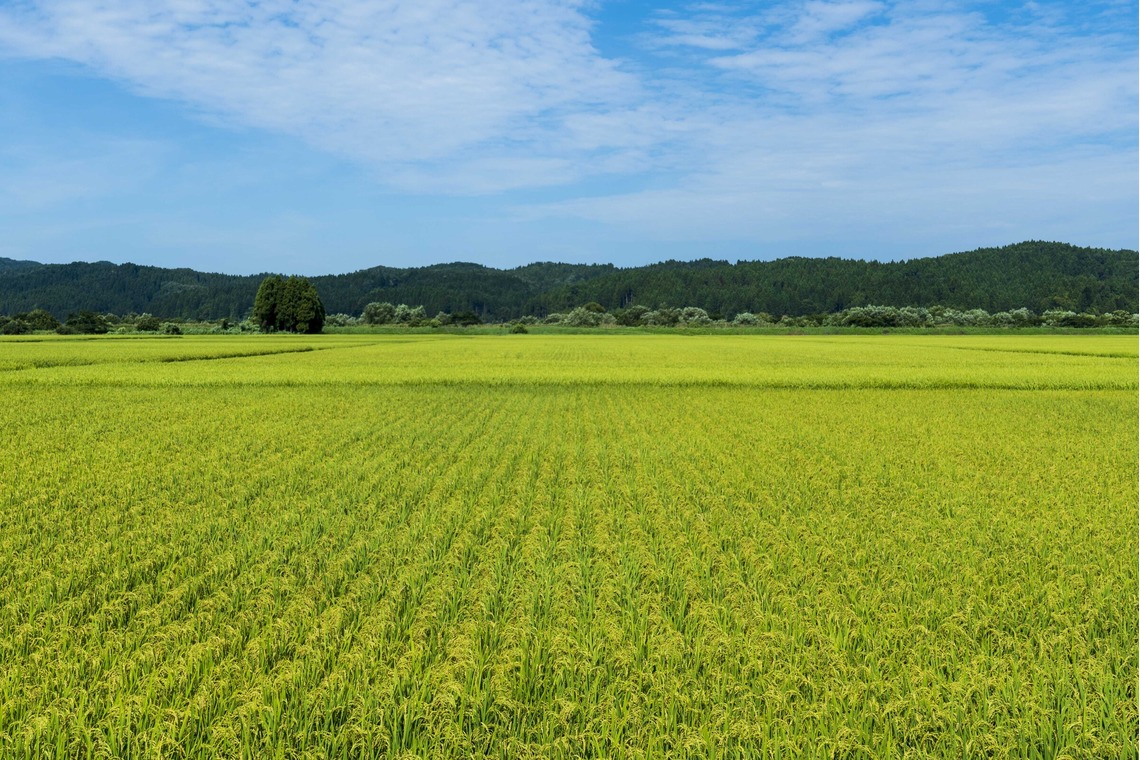 鶴巻直満(T-PHOTO OFFICE)が撮影した写真のアルバム「空間系作品」