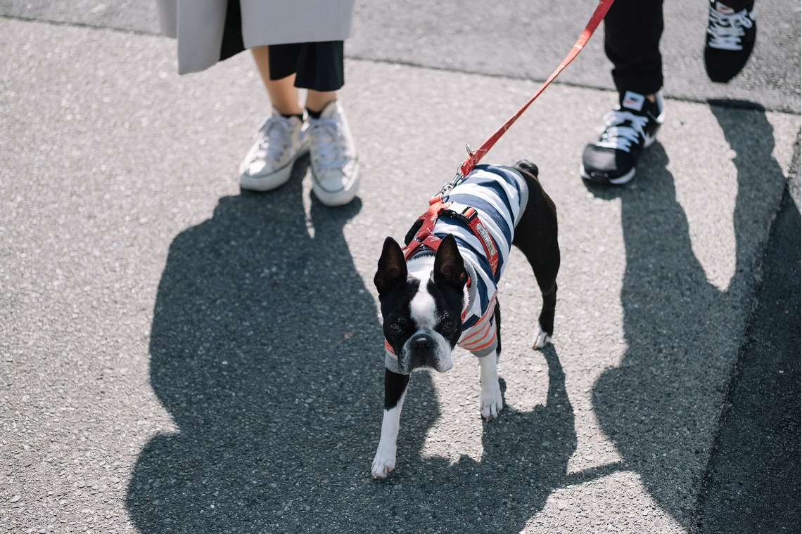 スタジオトモロが撮影した写真のアルバム「エンゲージメントフォト」
