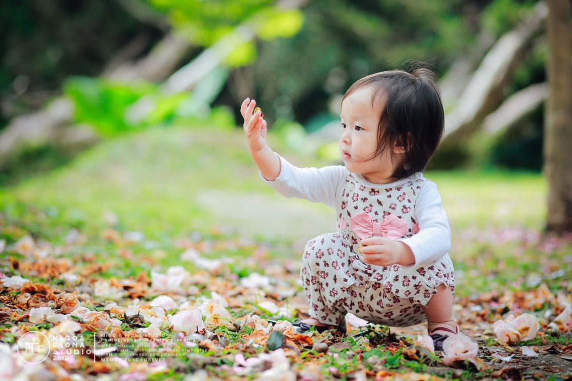 MF STUDIO Migoが撮影した写真のアルバム「ファミリーフォト」