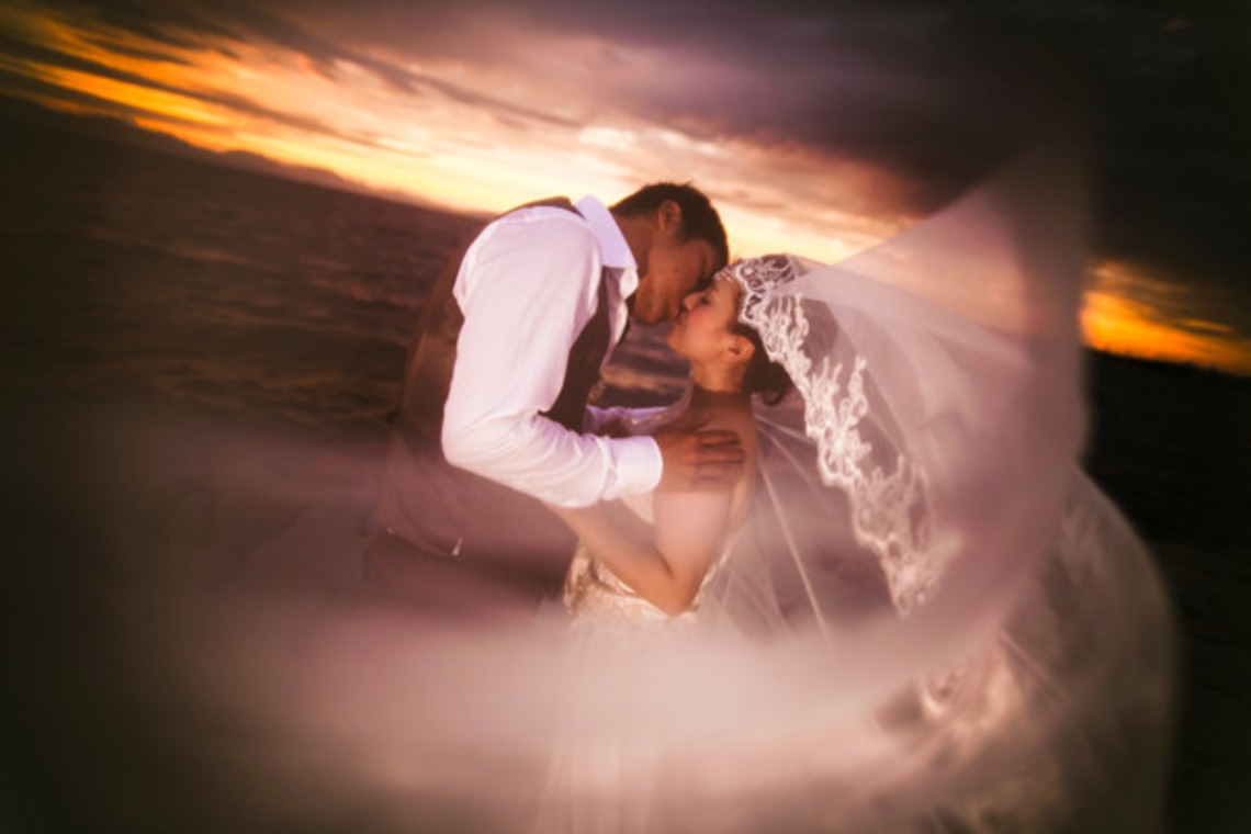 ピュアアーティス(小島 靖雄)が撮影した「その他フォト」の写真