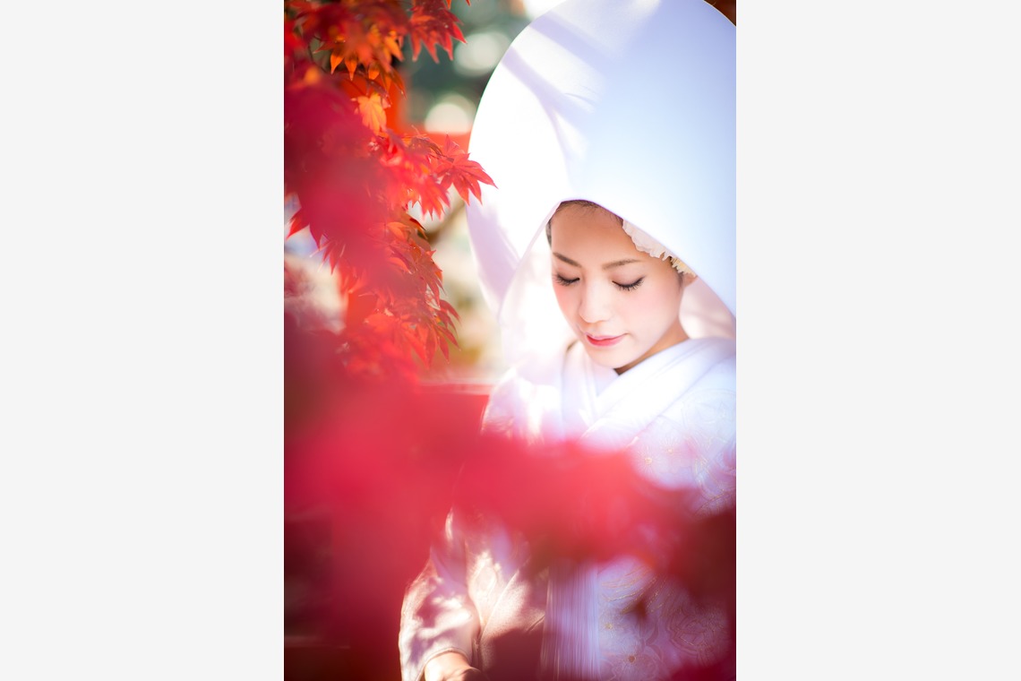 studio zeroが撮影した「京都」の写真