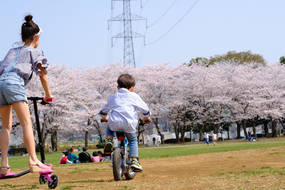 高野和希が撮影した写真のアルバム「桜での家族フォト」