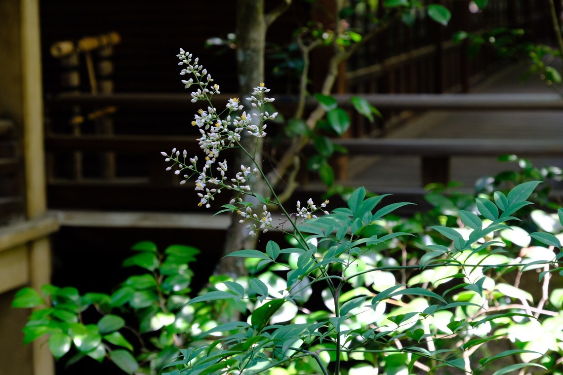 POPCORNが撮影した写真のアルバム「Sun」