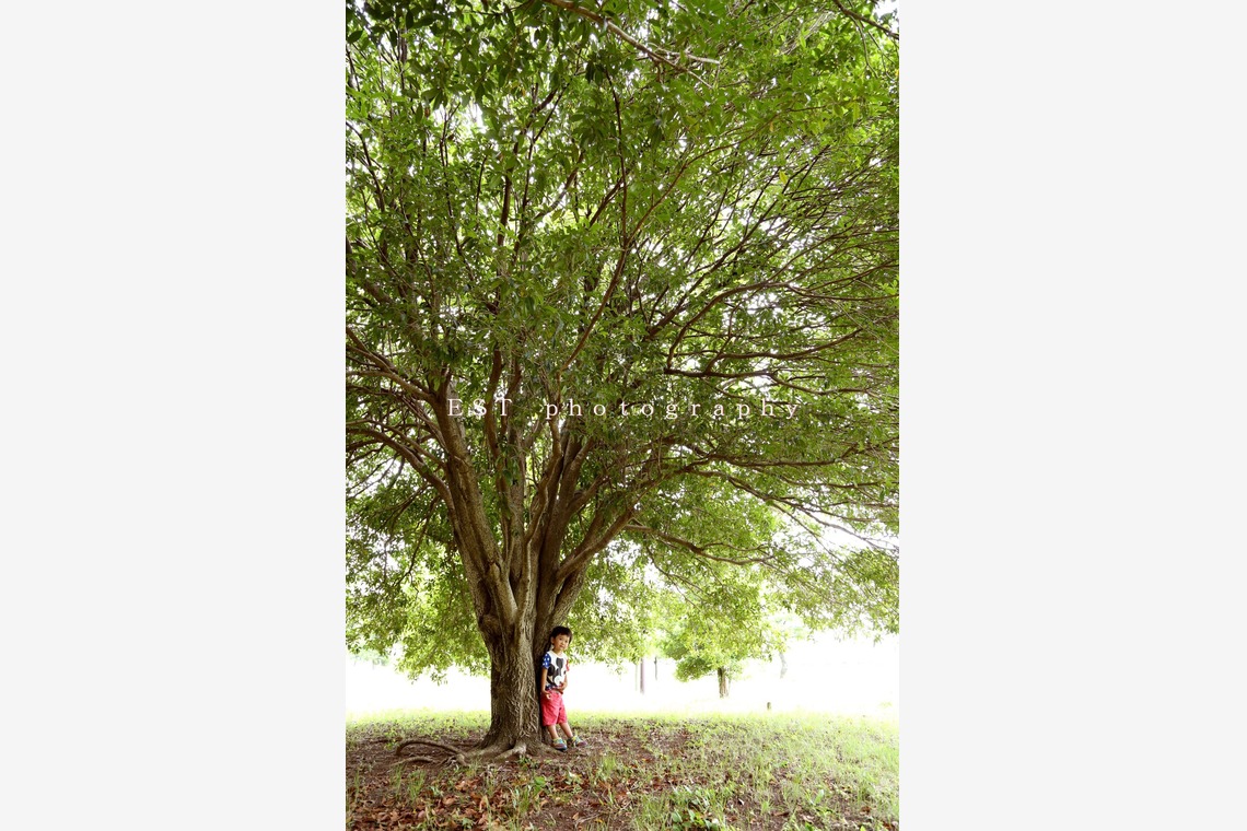 EST photographyが撮影した写真のアルバム「フォトギャラリー」