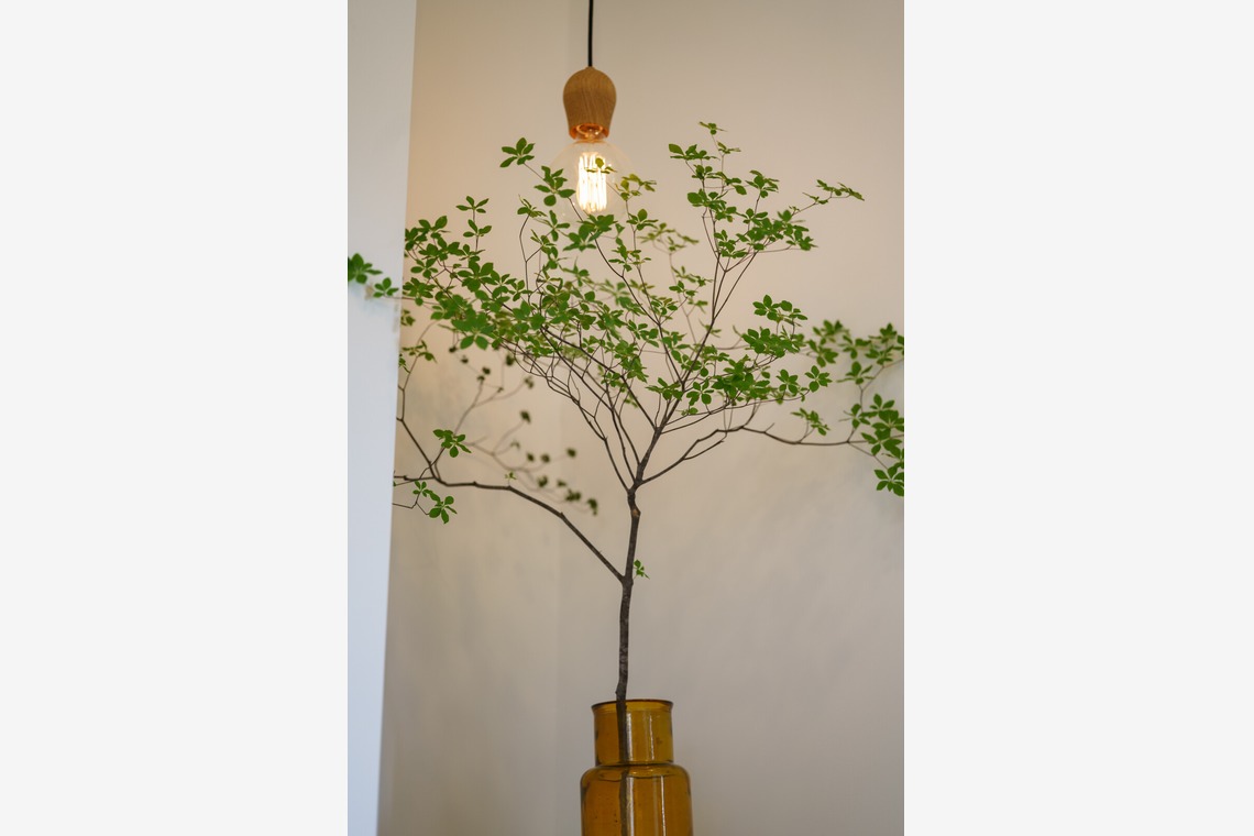 合同会社ワンダースリーが撮影した「不動産・竣工写真集」の写真