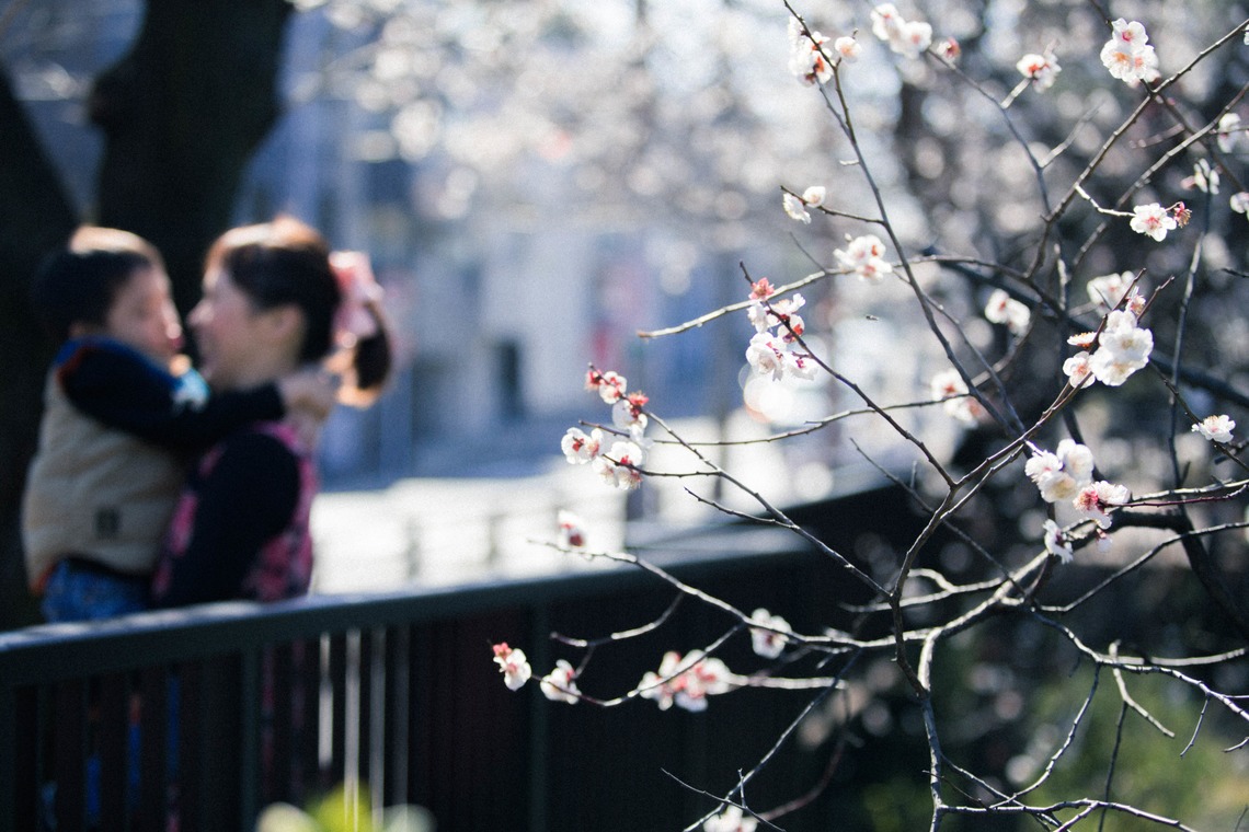 MTワークスが撮影した家族写真の出張撮影のアルバム「ファミリー」