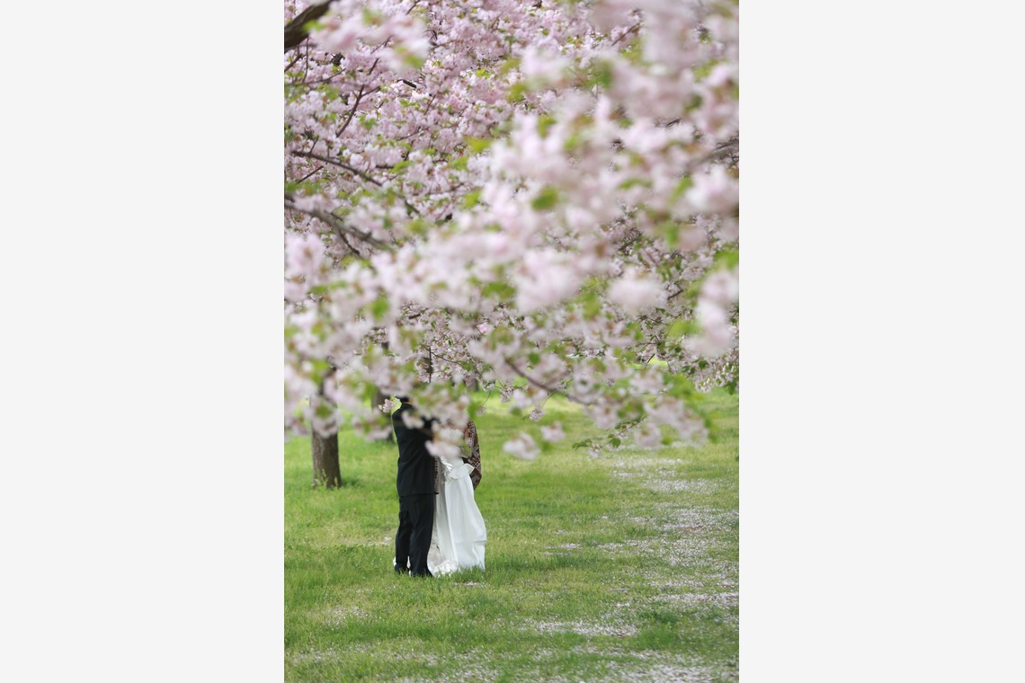 Album of the Wedding, Bridal taken by Peaceful Pictures - 