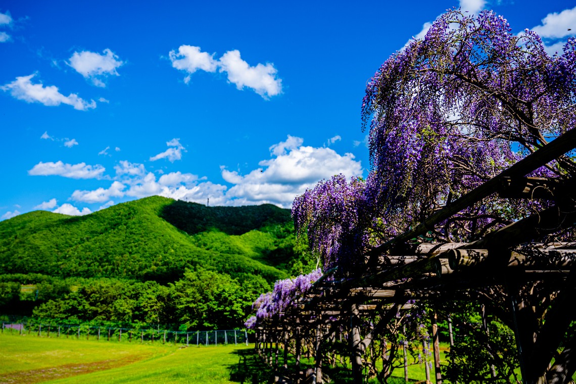 高木勇斗が撮影した「風景　物撮り」の写真
