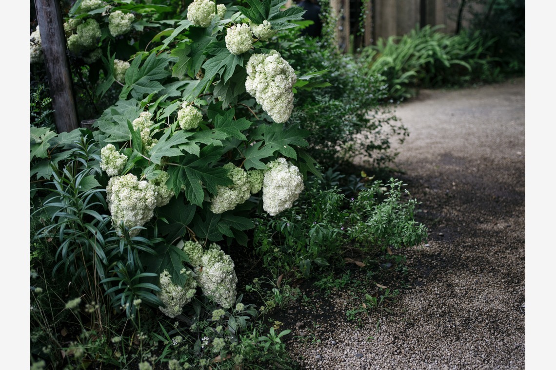 植村由理が撮影した「愛宕神社での挙式と小笠原伯爵邸での披露宴」の写真