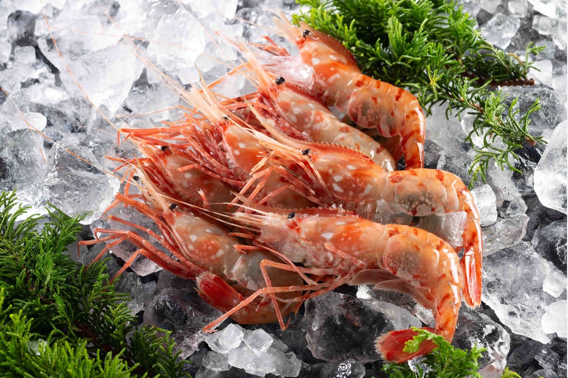 株式会社DAVINCI-Developmentが撮影した「料理撮影」の写真