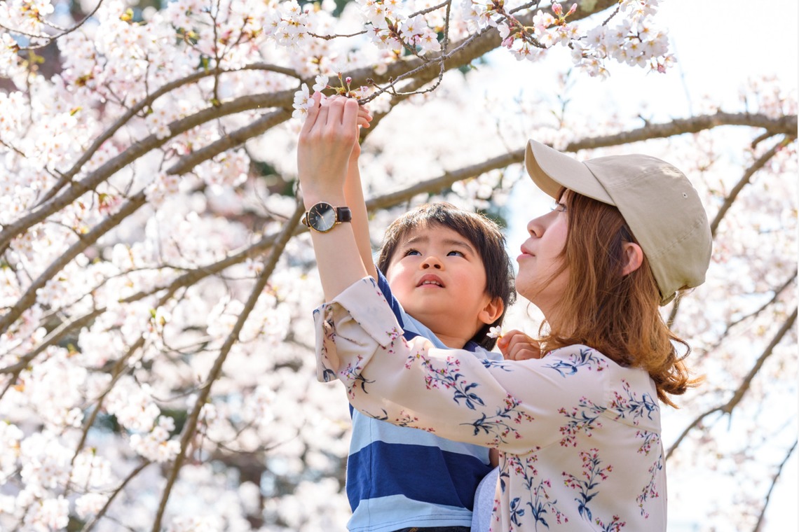 Lightgraphyが撮影した「桜の季節の親子フォト」の写真