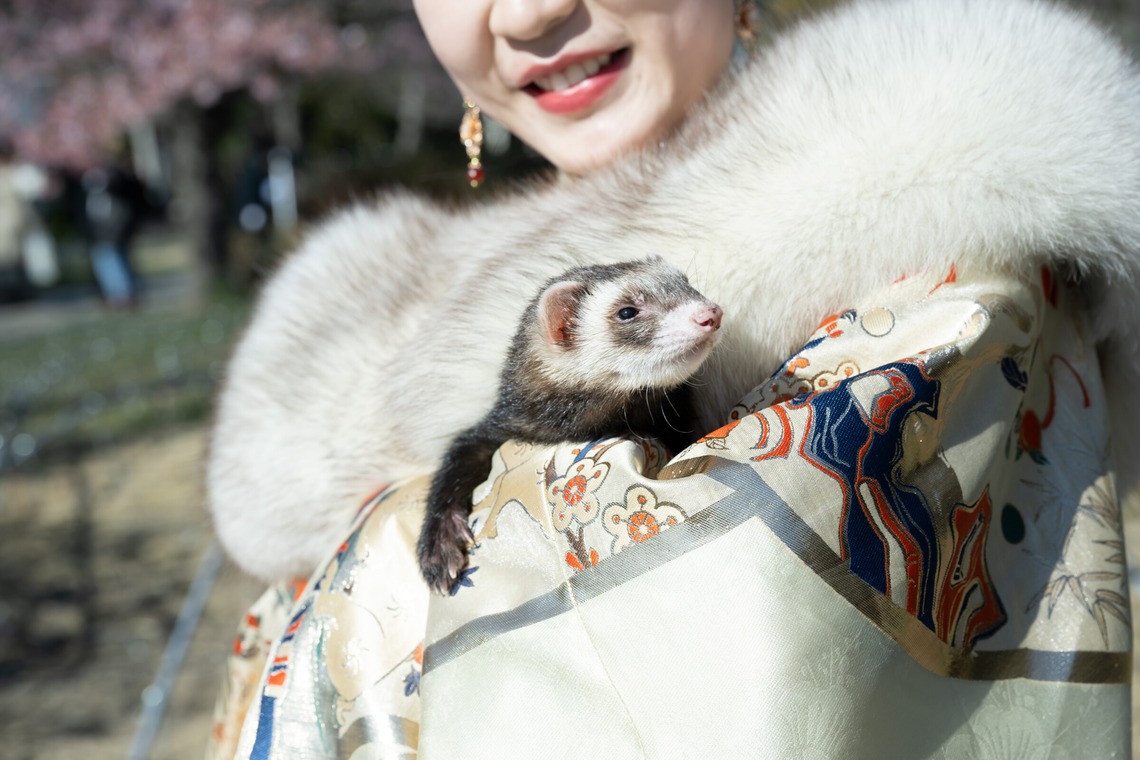 寫樂斎が撮影した写真のアルバム「大学卒業記念（江の島）」