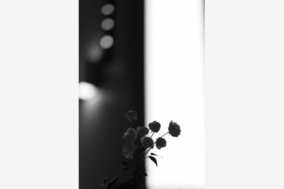 xが撮影した「」の写真