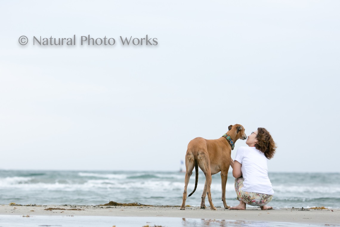 Keiko Yuzawaが撮影した「ペット」の写真