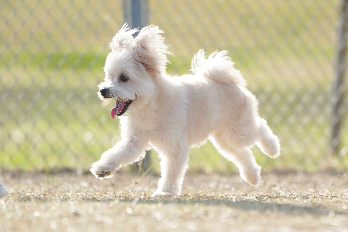 阪口写真事務所