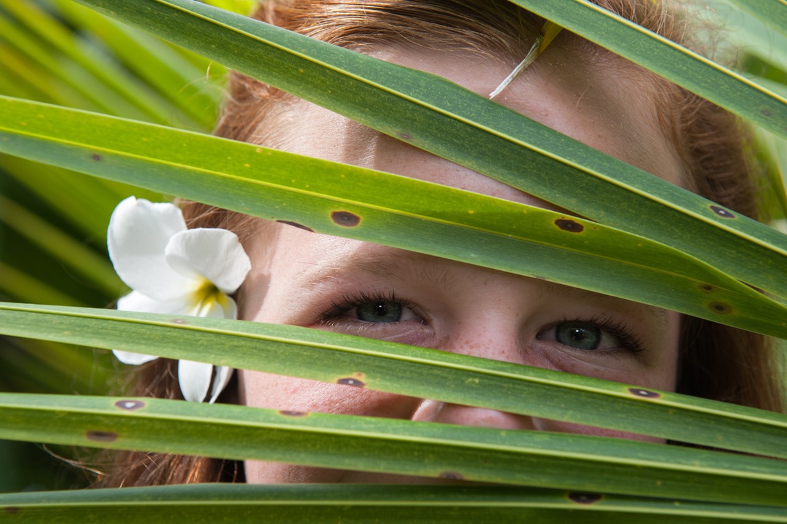 サムシングブルーが撮影した写真のアルバム「ファミリー」