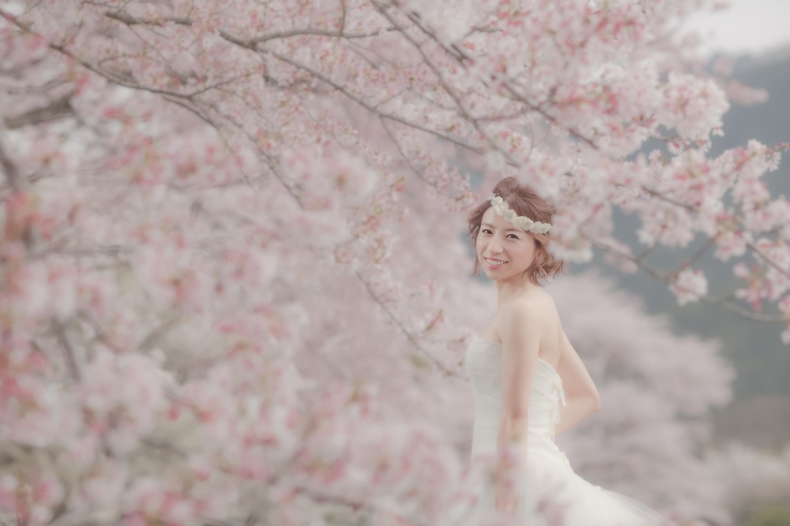  グラフィーズが撮影した写真のアルバム「桜」