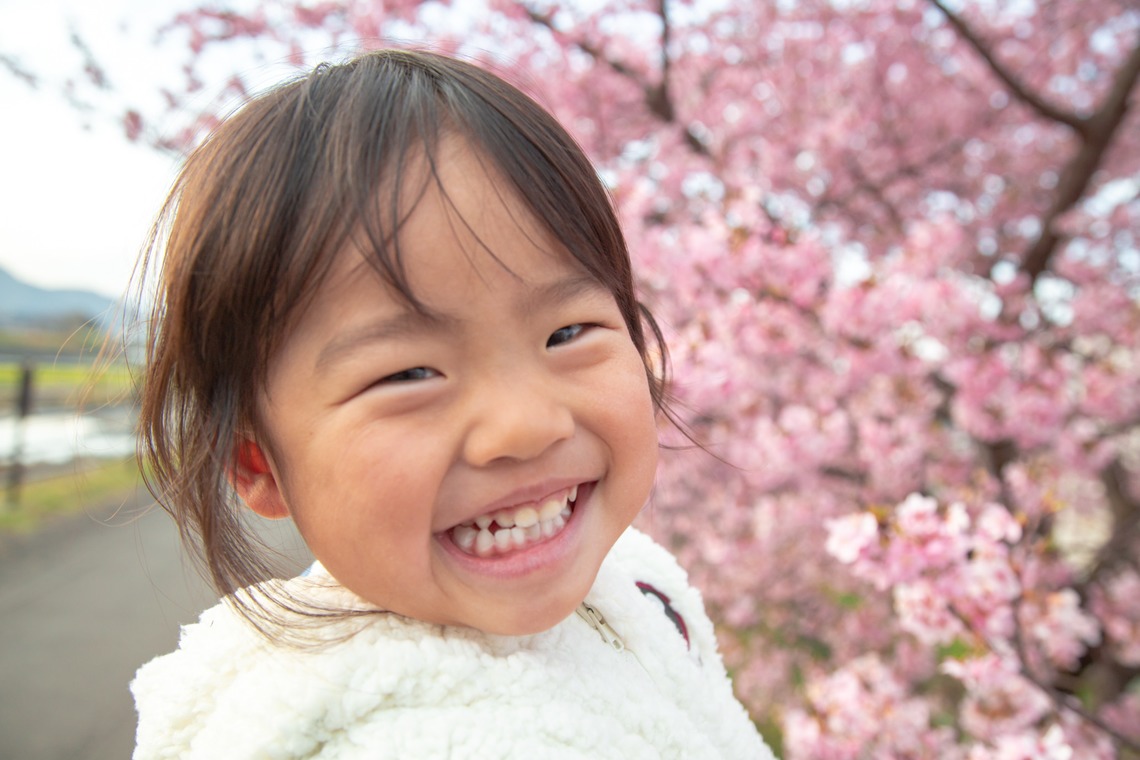 ゆのみふぉとが出張撮影した家族写真(キッズ,ベビーフォト)などが写った「桜とお写真」の家族写真