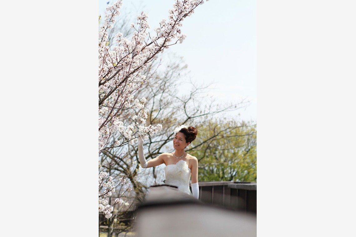 セリエドレッシング