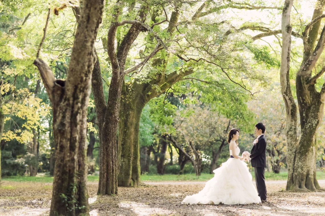 elle pupaが撮影した「京都（自然）」の写真