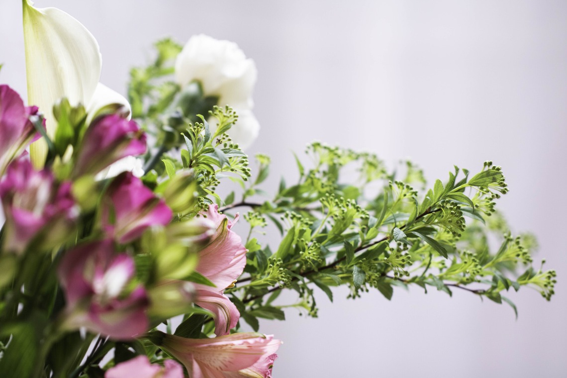 ミヤタカズコが撮影した「花のある生活」の写真