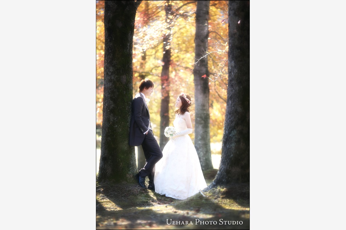 Photo of  taken by Uehara Photo Studio