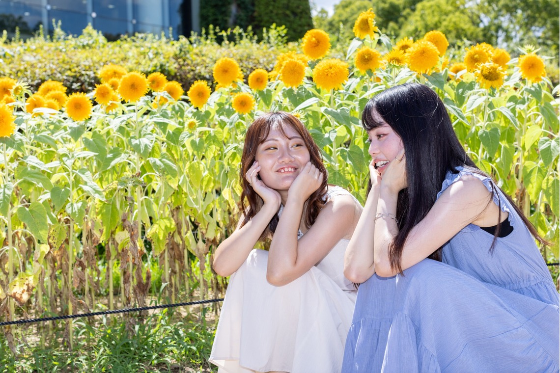 大辻尋稔が撮影した写真のアルバム「フレンドフォト」