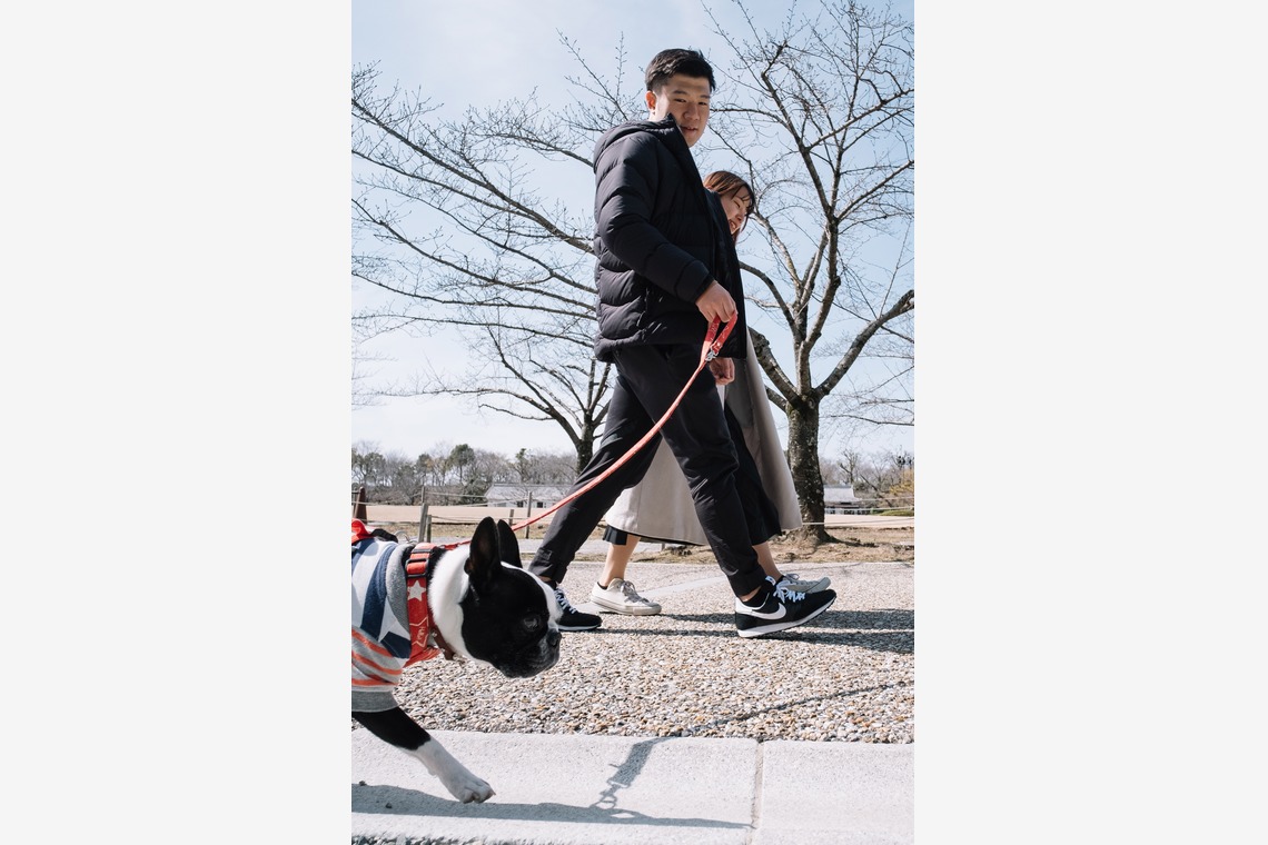 スタジオトモロが撮影した写真のアルバム「エンゲージメントフォト」