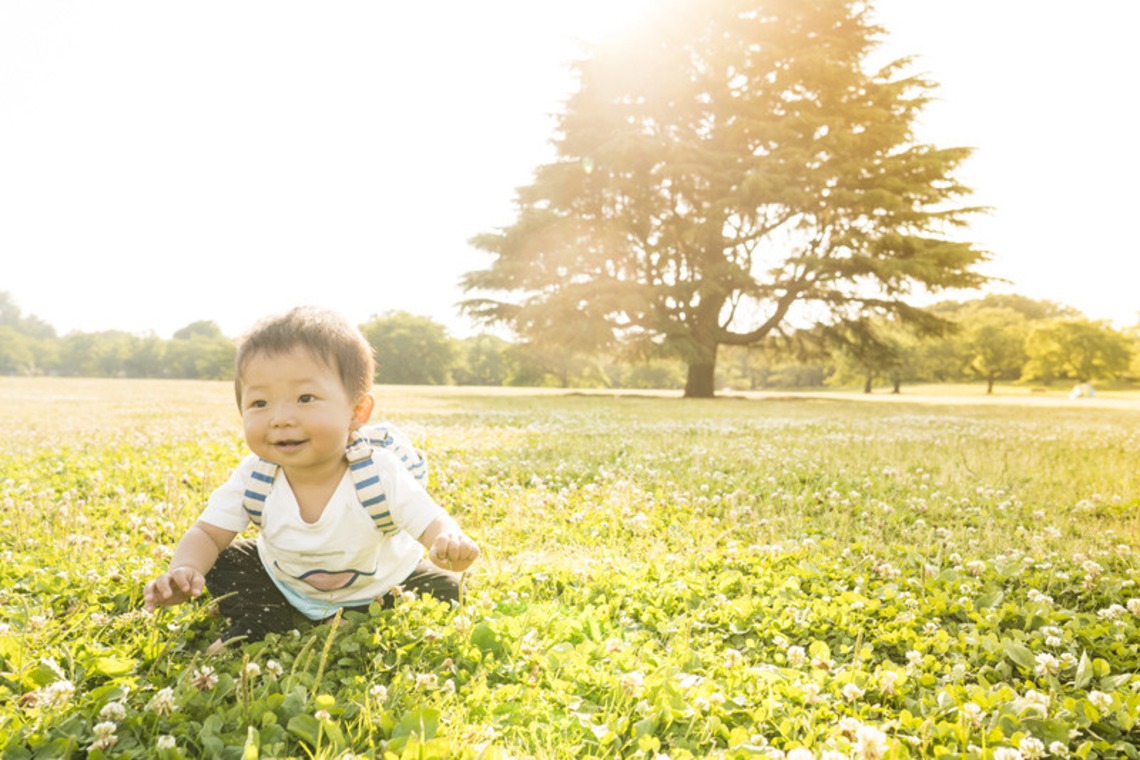 bozphoto & stylesが撮影した「夕暮れの昭和記念公園」の写真