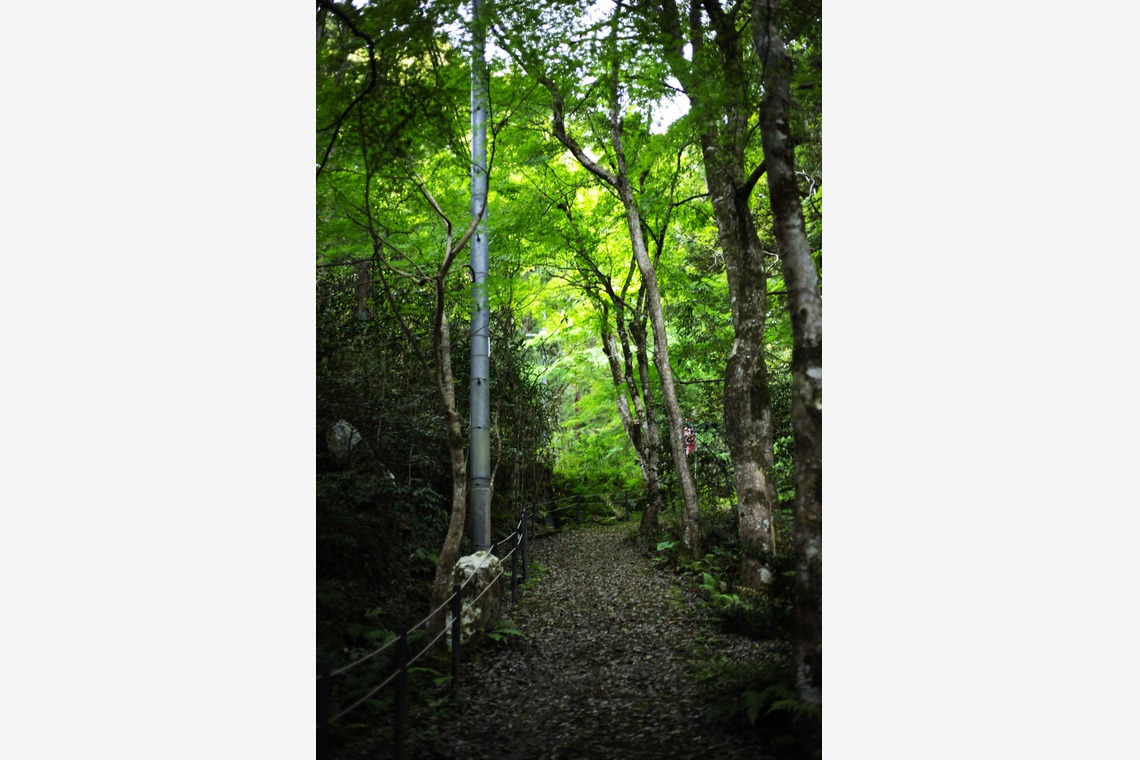 写真屋gonree　阿波根里恵が撮影した「かえもん旅館」の写真