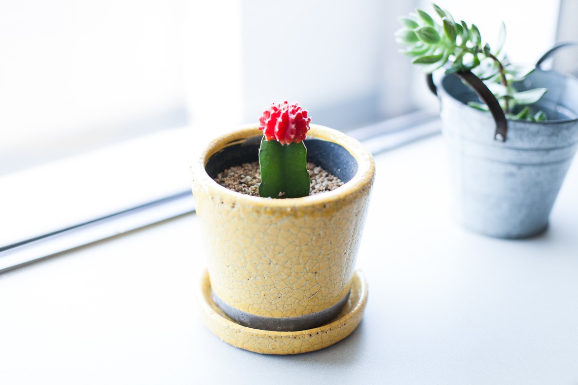 Yasui photographyが撮影した「物件イメージ撮影」の写真