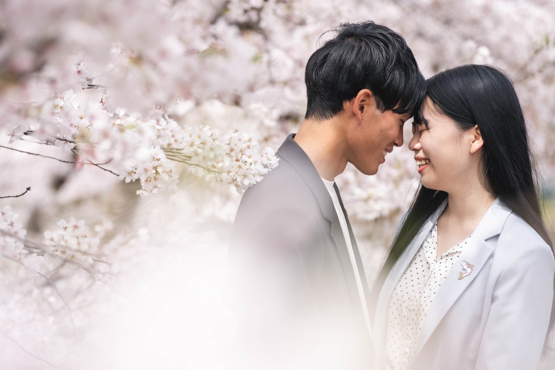 Album of the Engagement Photography taken by Kanae Suzuki - Couple photo in Kyoto with cherry blossoms in full bloom