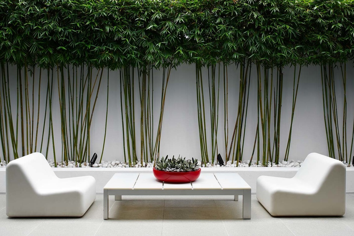 シドニー・クリエイティブフォトグラフィーが撮影した「雑誌、広告、景色、カタログ、人物、芸能人等」の写真