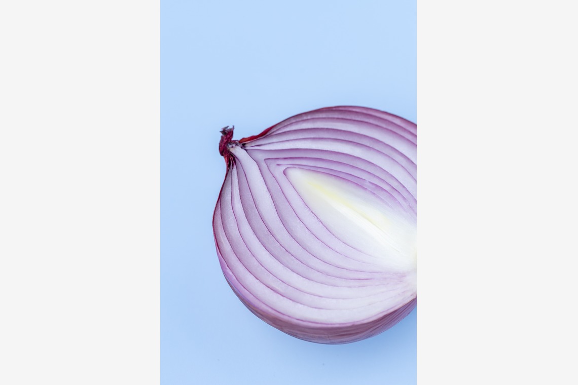 Hiroが撮影した「スタジオ、出張撮影」の写真