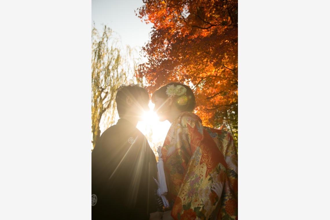 studio zeroが撮影した「大阪」の写真