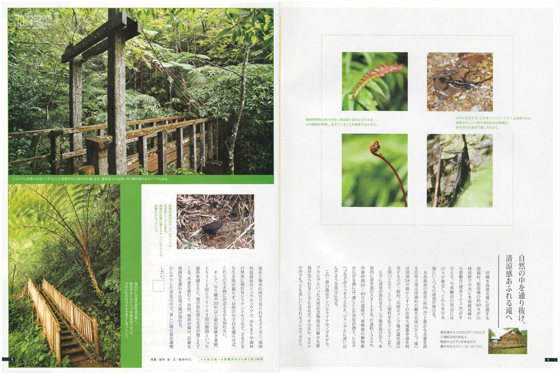 鈴木圭が撮影した写真のアルバム「機内誌グラビア」