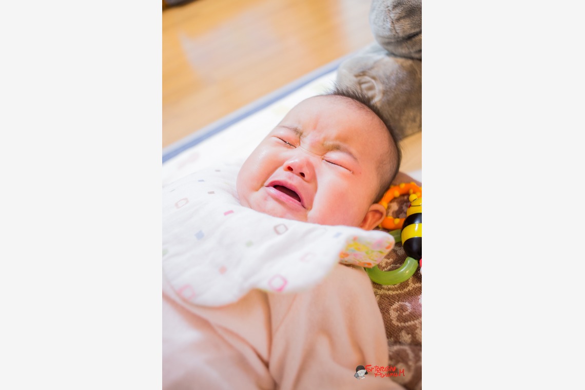 写真スペース　フォトラッシュが撮影した「宇部市出張撮影」の写真