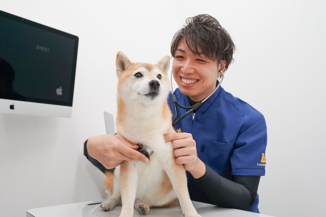 出張撮影くろめっとが撮影した写真のアルバム「動物病院例」