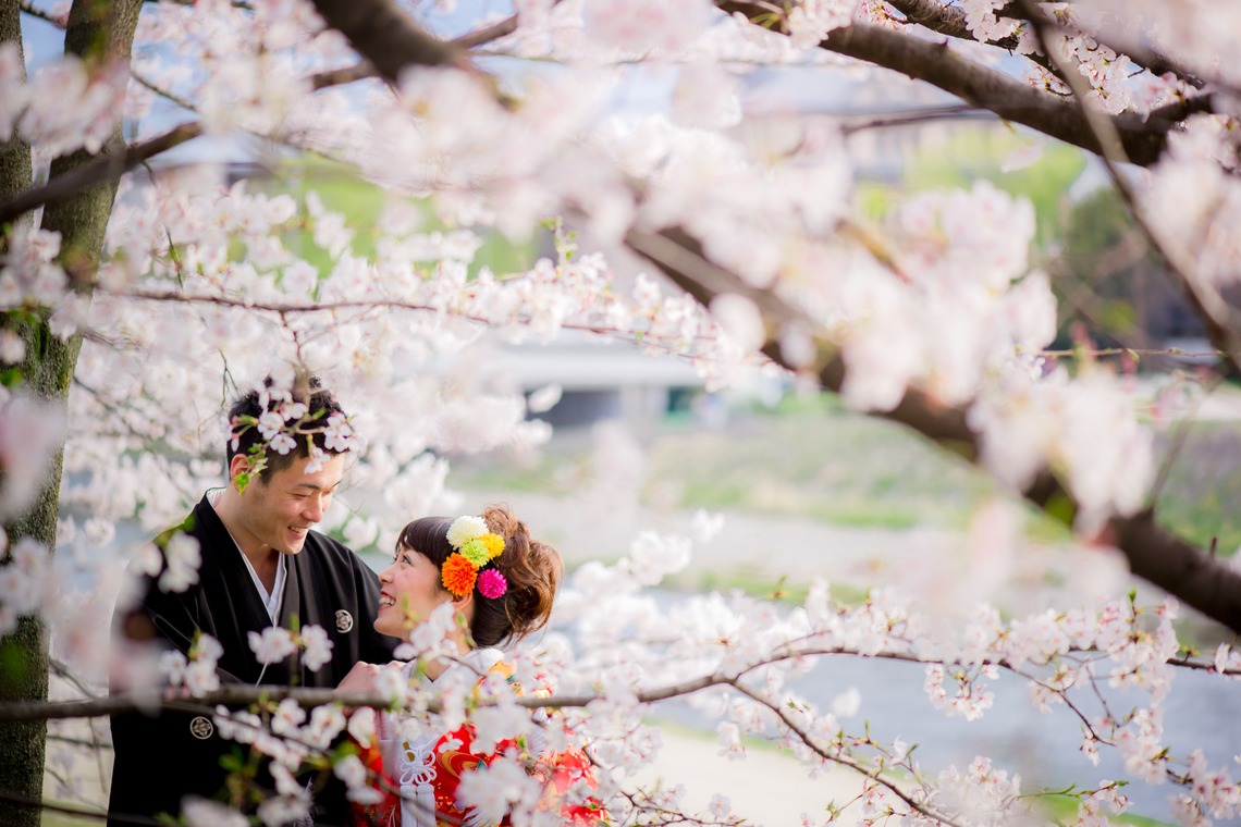 studio zeroが撮影した「京都」の写真