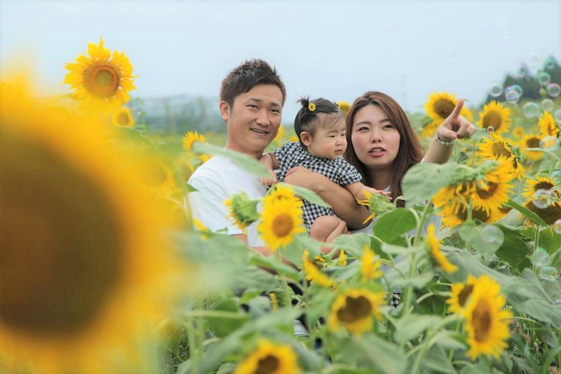 理 S PHOTOが撮影した写真のアルバム「鼻高展望ひまわり畑」