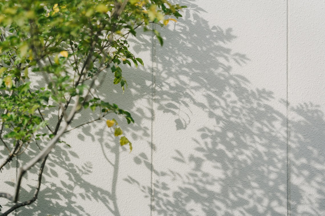 muikkuが撮影した写真のアルバム「結婚式場」